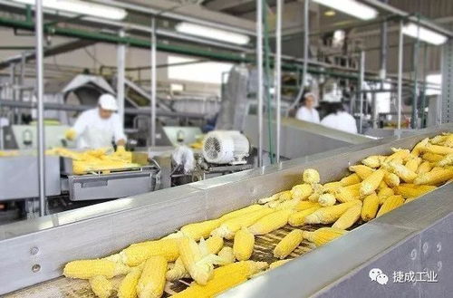 看亨氏如何从根杜绝霉菌污染，为散装食品站住所有防线